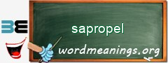 WordMeaning blackboard for sapropel